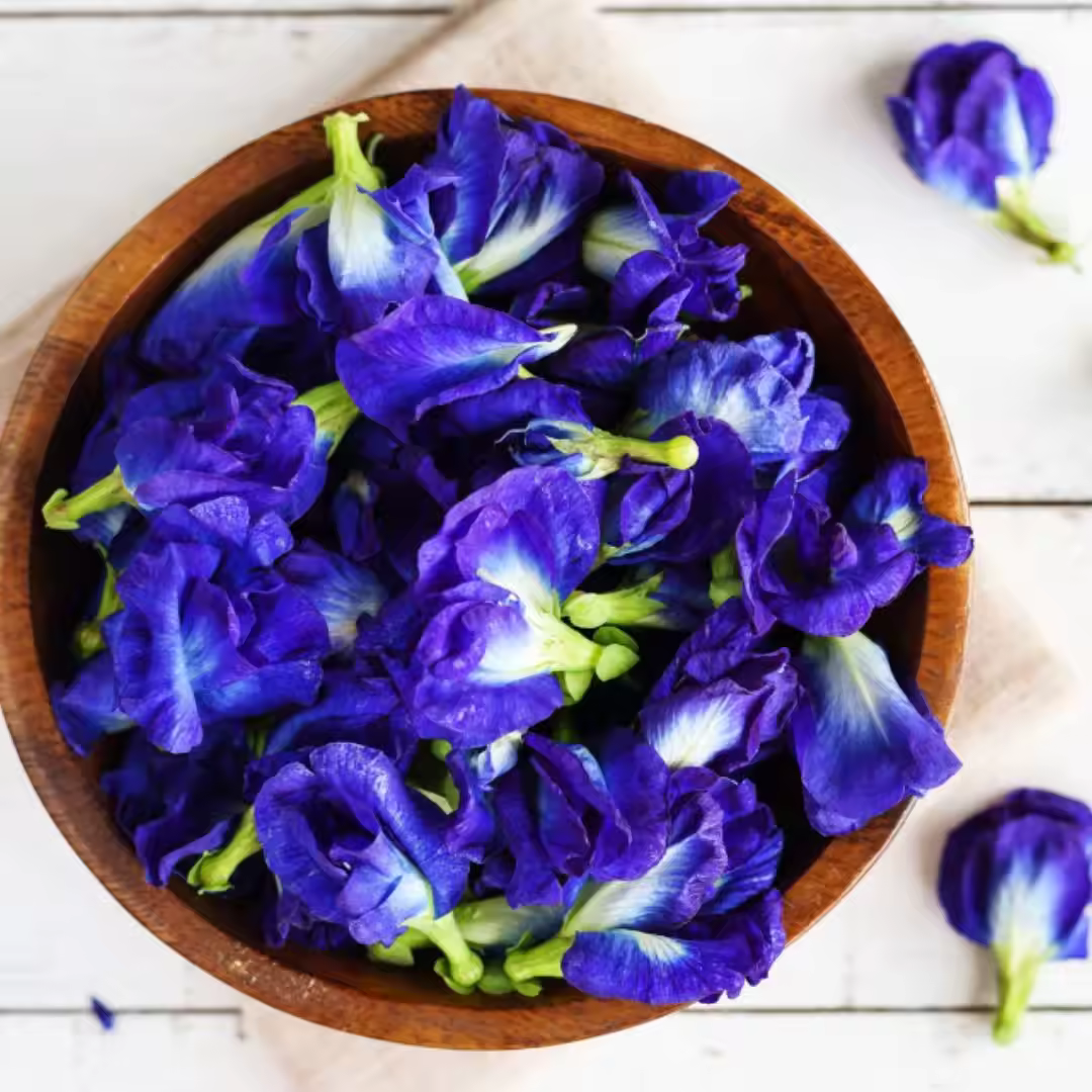 Butterfly Pea Flower Tea of Thailand Bulk Package 50, 100, 500 gram