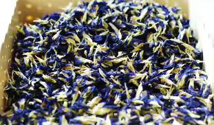 Butterfly Pea Flower Tea of Thailand Bulk Package 50, 100, 500 gram