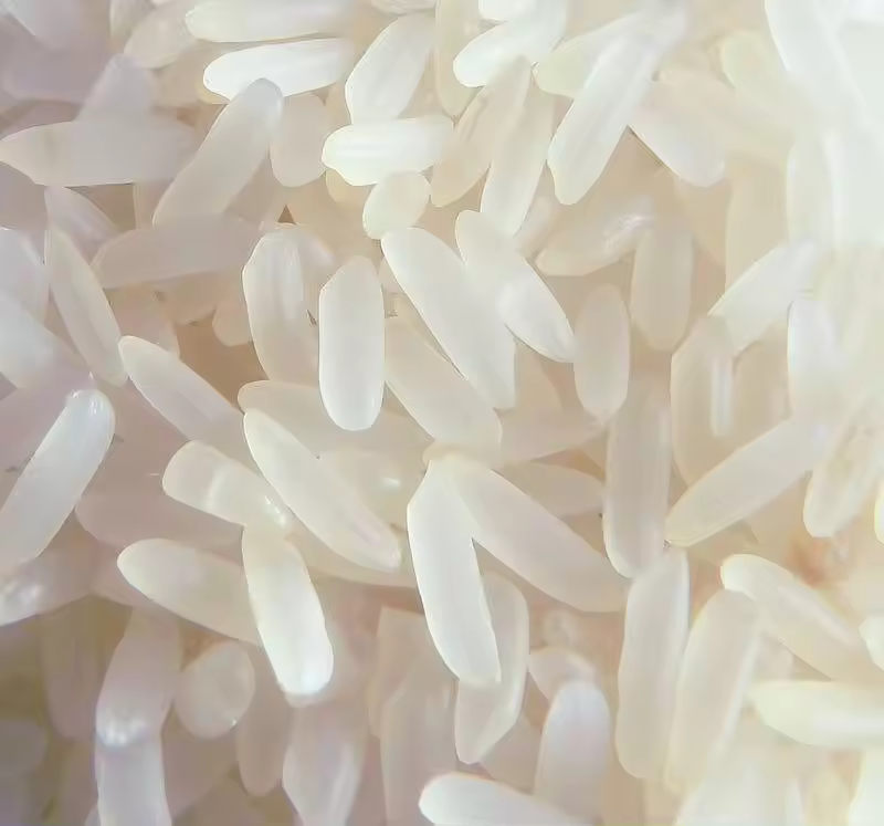 Dinosaur the best Jasmin Rice most popular high quality cheap price of Thailand 5 / 9 / 14 kg
