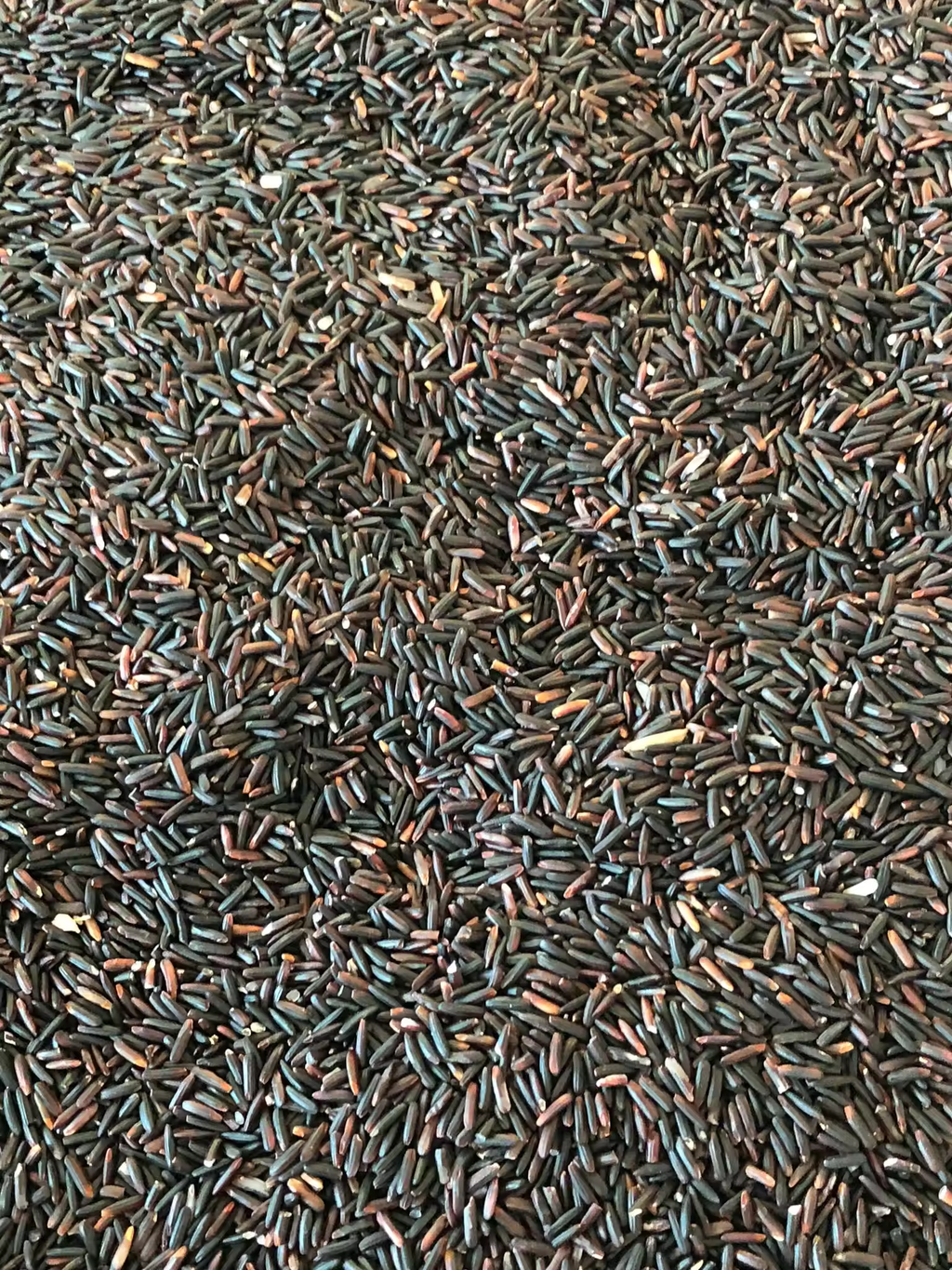 Jasmin Riceberry most popular high quality cheap price of Thailand