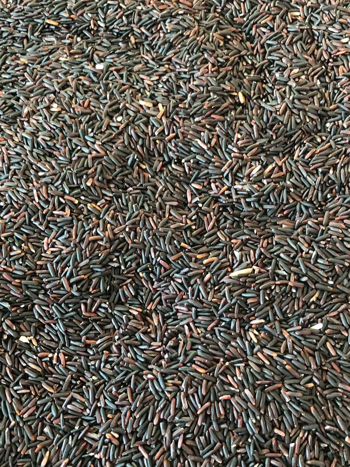 Jasmin Riceberry most popular high quality cheap price of Thailand