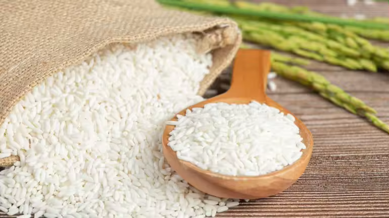 Sticky Rice most popular high quality cheap price of Thailand