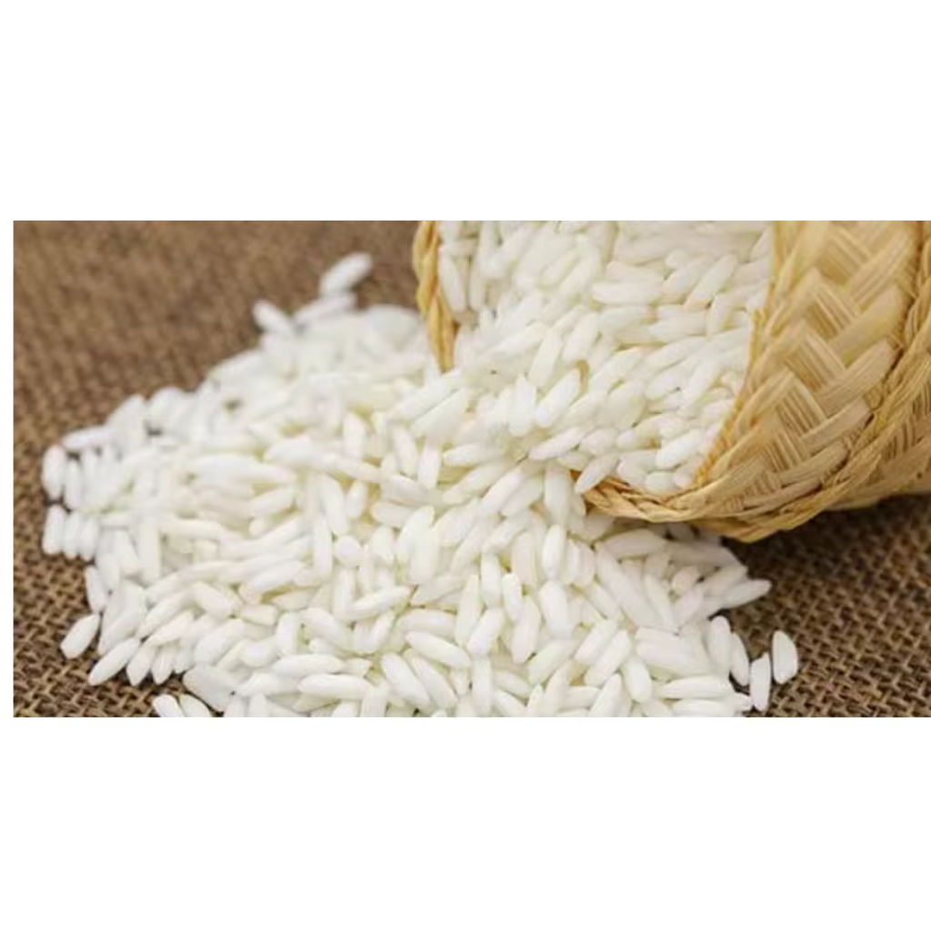 Sticky Rice most popular high quality cheap price of Thailand